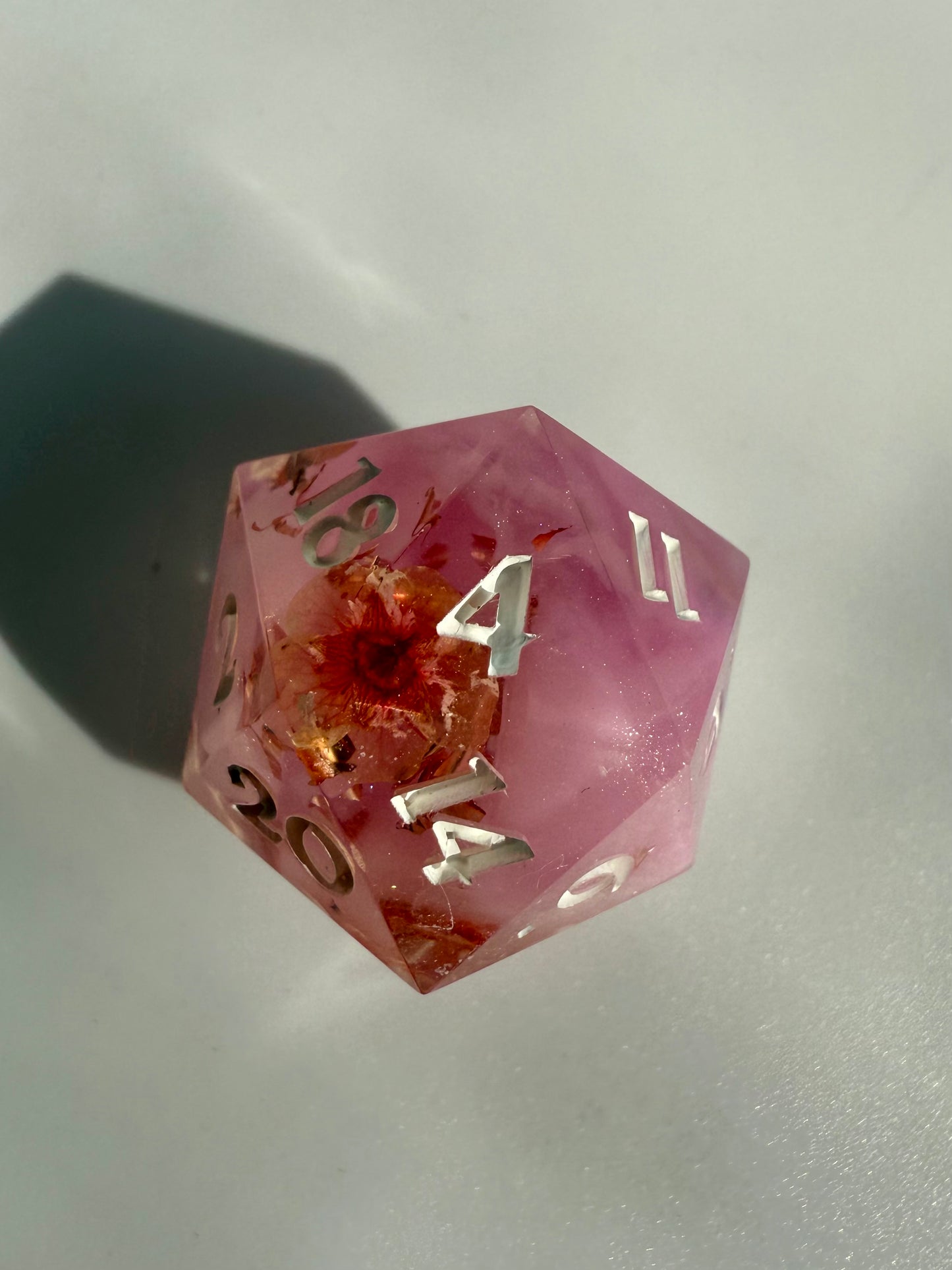 Pink Floral Single D20