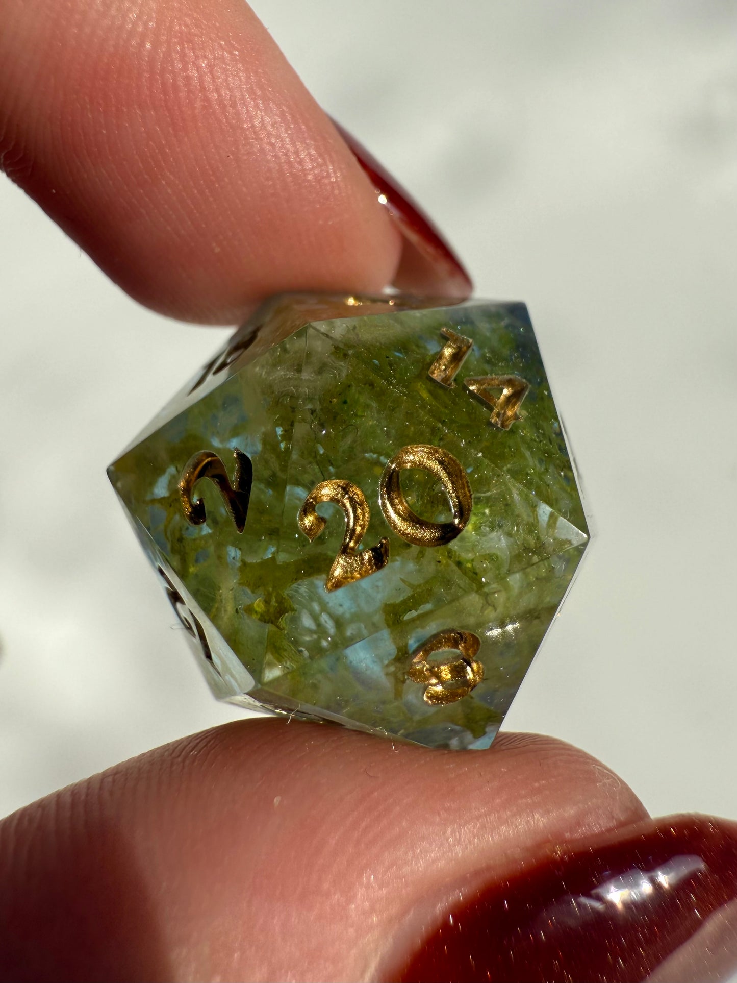 Mossy Single D20